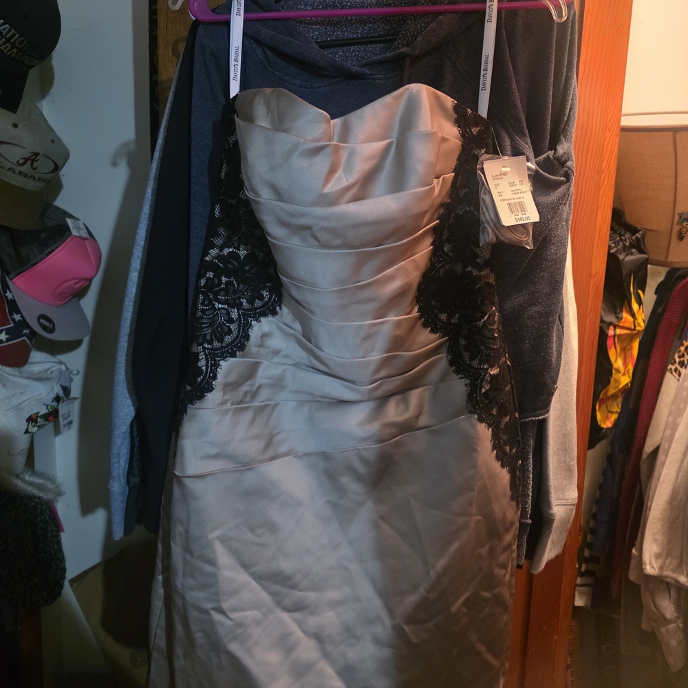 David's Bridal Champagne and Black Lace Dress